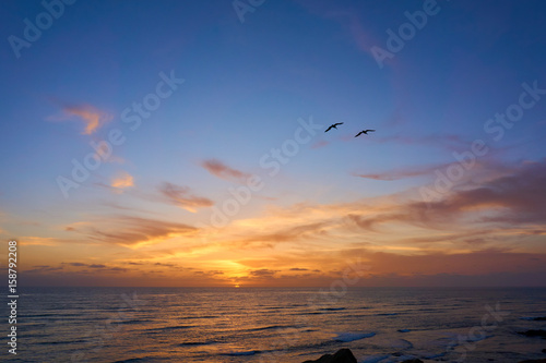 zwei V  gel fliegen vor dem malerischen Sonnenuntergang am Meer  Pazifik  San Diego  Amerika