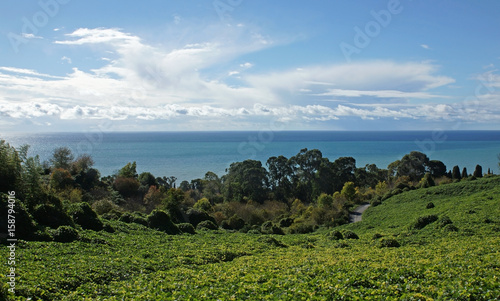 Blue sky, blue sea and green shore