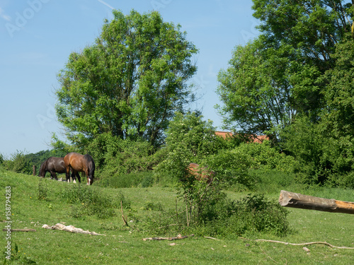 das westliche münsterland photo