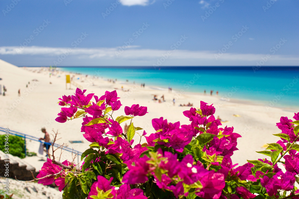 People sunbathing and relaxing at the beach in Morro Jable, Fuerteventura