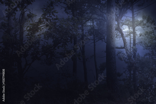 Full moon rises over a forest on a misty night