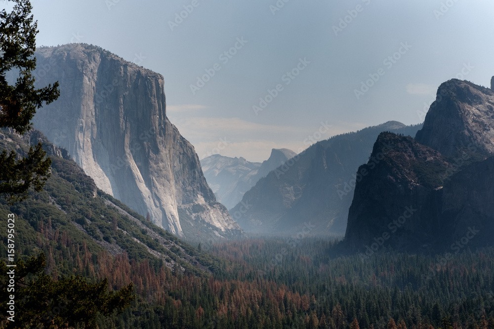 Beautiful forest and mountains at dawn sunrise - Yosemite National Park, Canada