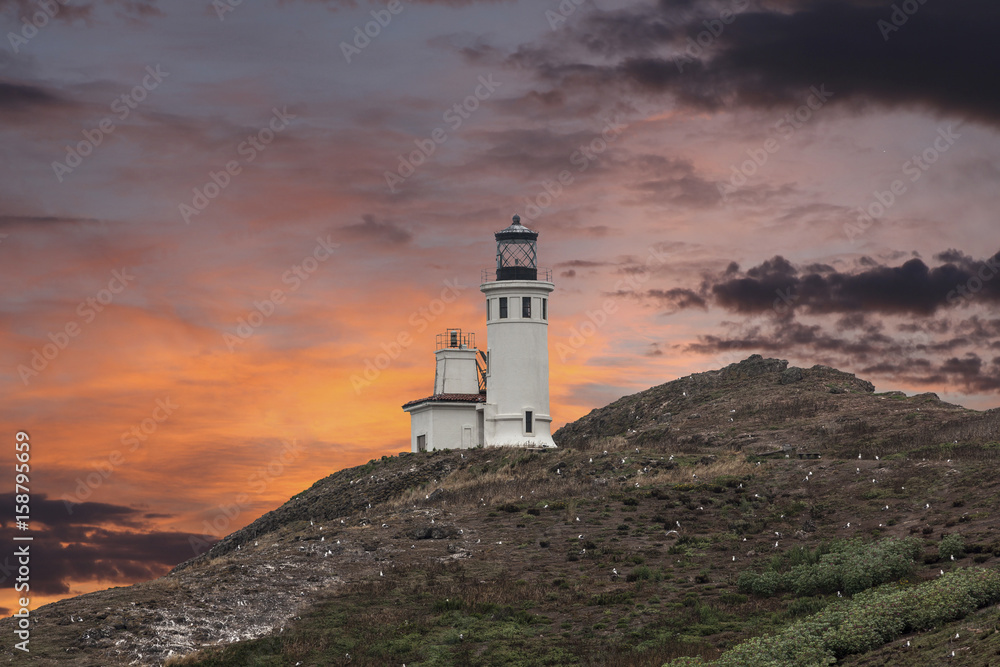 Anacapa island lighthouse with nesting seagulls and sunset sky at Channel Islands National Park in Ventura County California.  