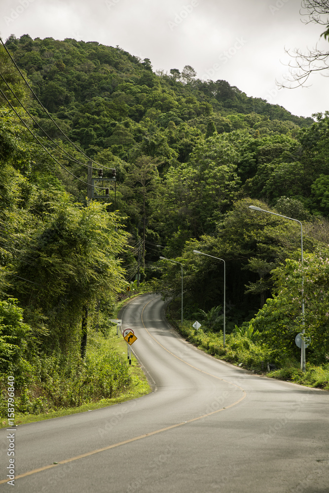 Asphalt road is meandering between forest mountains