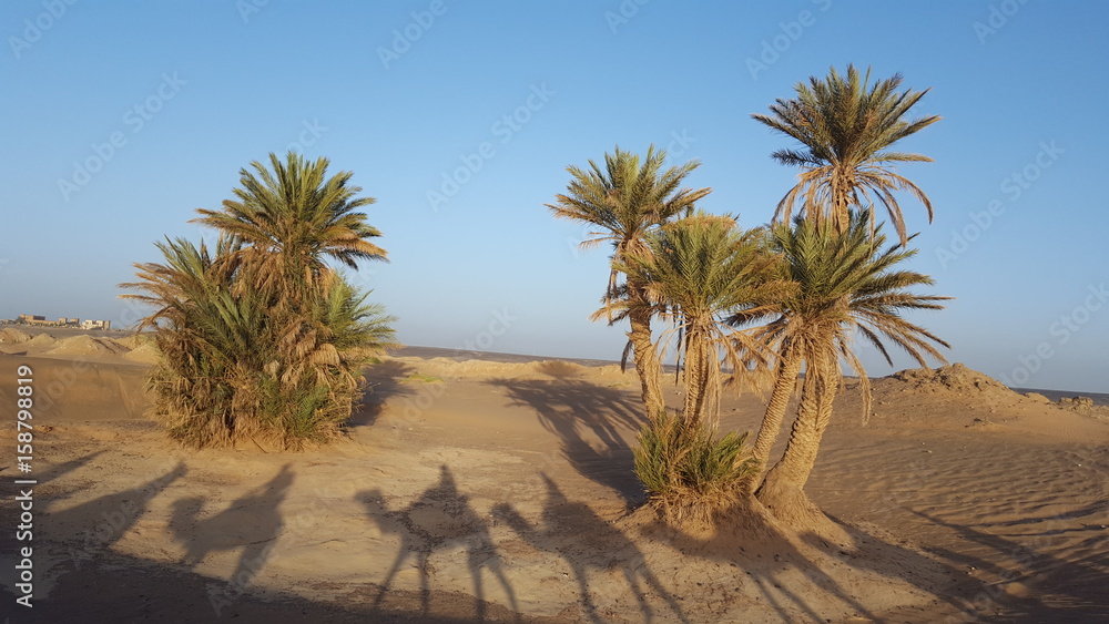 Maroc Maroc