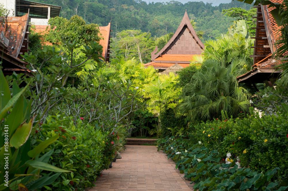 A path through a beautiful exotic garden with jungle covered mountains in the background