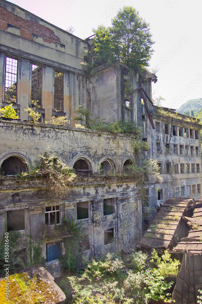 Obraz premium Abandoned overgrown ruins of destroyed by war Tkvarcheli (Tquarhcal) power plant, Abkhazia, Georgia