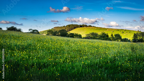Meadows and hill on springtime in Forest of Bowland, blue sky and clouds on afternoon sunlight Lancashire, England UK