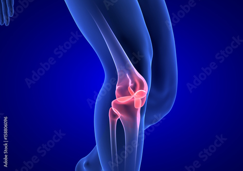 Knee Pain. Blue Human Anatomy Body 3D render on blue background