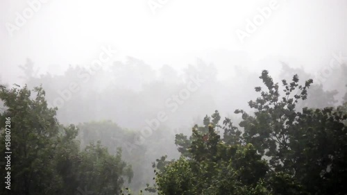 Storm wind and raining in the city. Bad weather conditinon