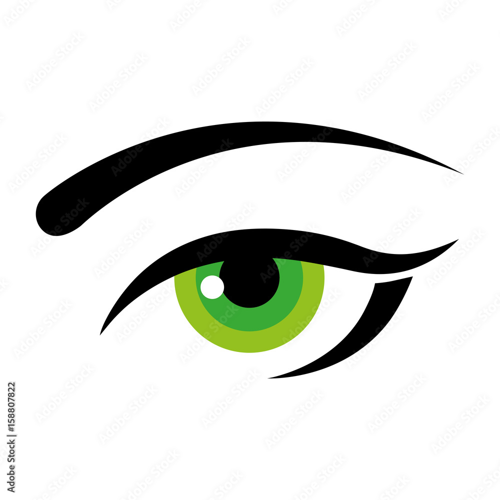 Womans eye and eyebrown icon over white background colorful design vector illustration Womans eye and eyebrown icon over white background colorful design vector illustration