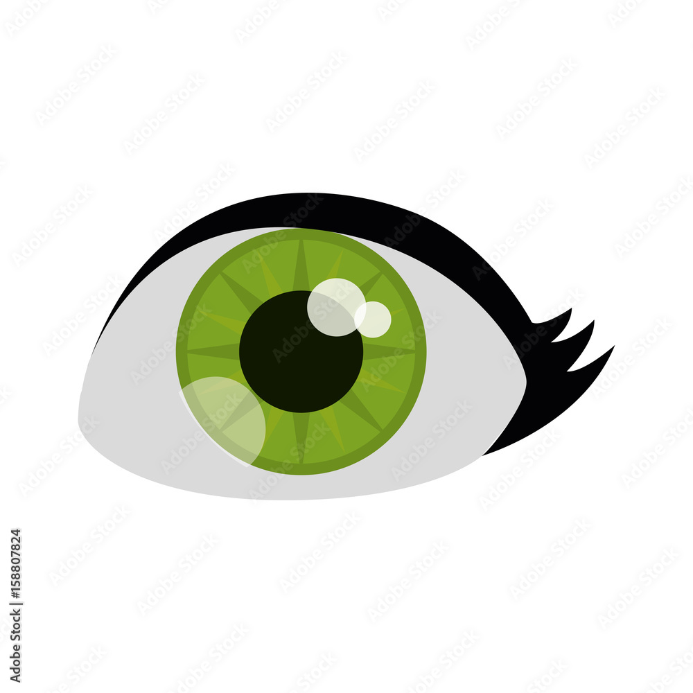 human eye icon over white background vector illustration human eye icon over white background vector illustration