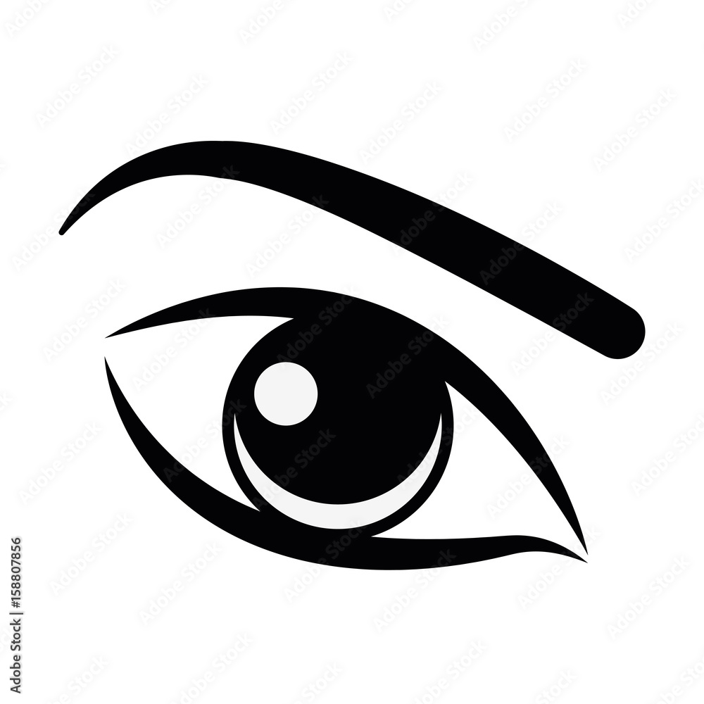 Womans eye and eyebrown icon over white background colorful design vector illustration Womans eye and eyebrown icon over white background colorful design vector illustration