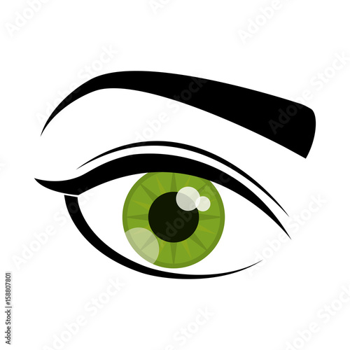 Womans eye and eyebrown icon over white background  colorful design vector illustration