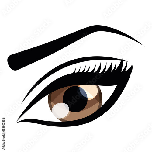 Womans eye and eyebrown icon over white background  colorful design vector illustration