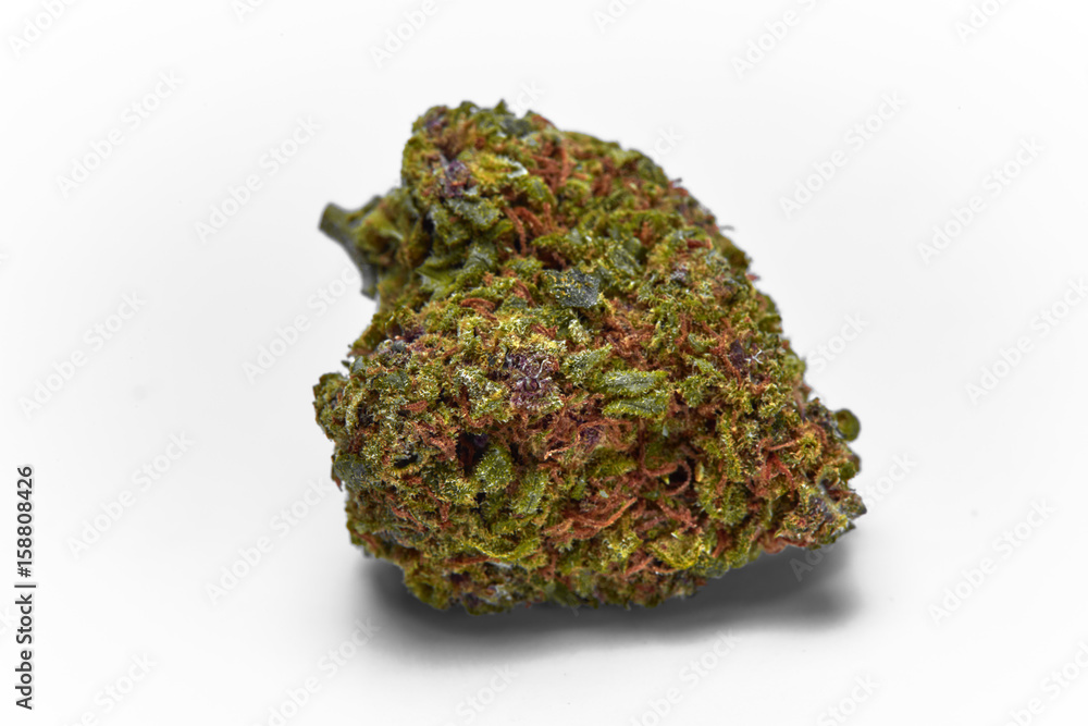 Close up of J1 strain medical marijuana bud on white background Close up of J1 strain medical marijuana bud on white background