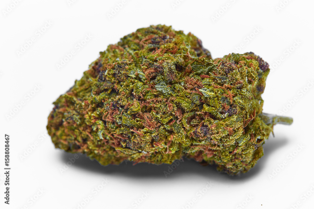 Close up of J1 strain medical marijuana bud on white background Close up of J1 strain medical marijuana bud on white background