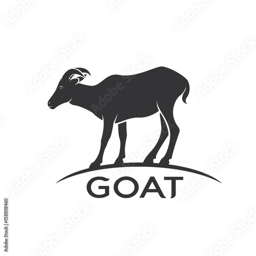 Vector of a goats mountain on white background. Wild Animals.