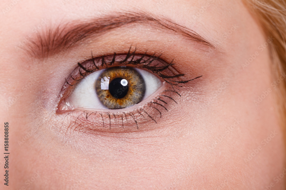 Detailed closeup of woman colorful eye Detailed closeup of woman colorful eye