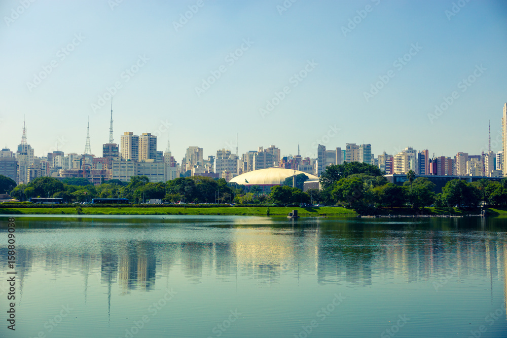 Observing the city of Sao Paulo in the Ibirapuera Park - Brazil.