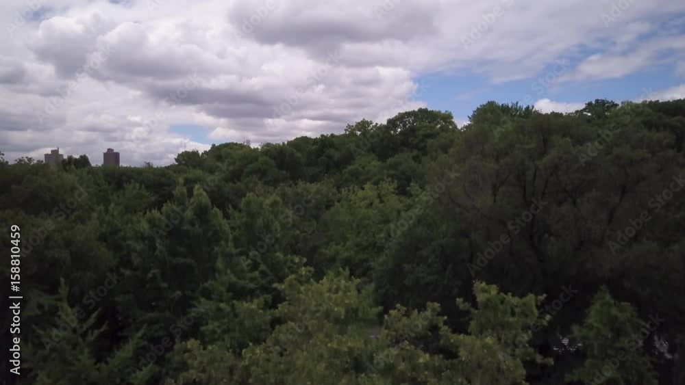 rising and tilting down from tree to reveal view of Central Park rising and tilting down from tree to reveal view of Central Park