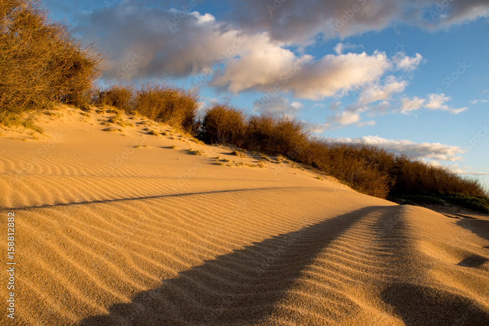 Sand dunes on beach in Hawaii
