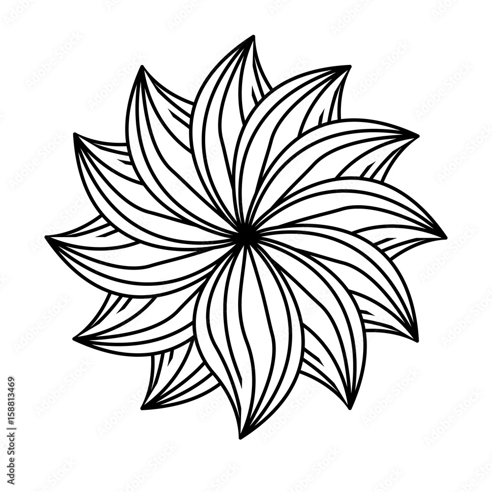 beautiful flower icon over white background vector illustration
