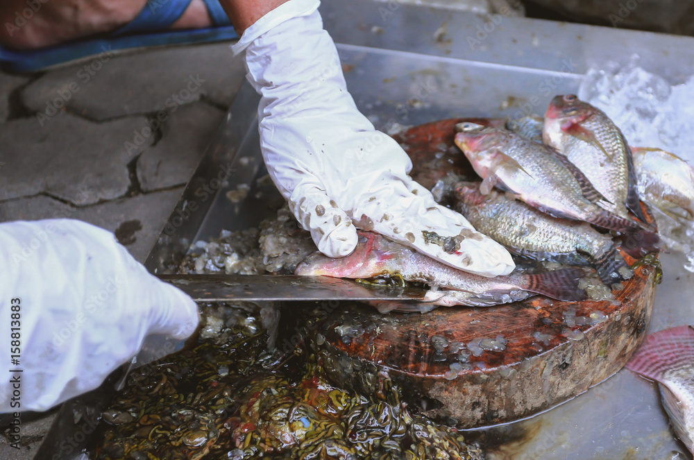 hands cutting a fresh fish on a cutting board