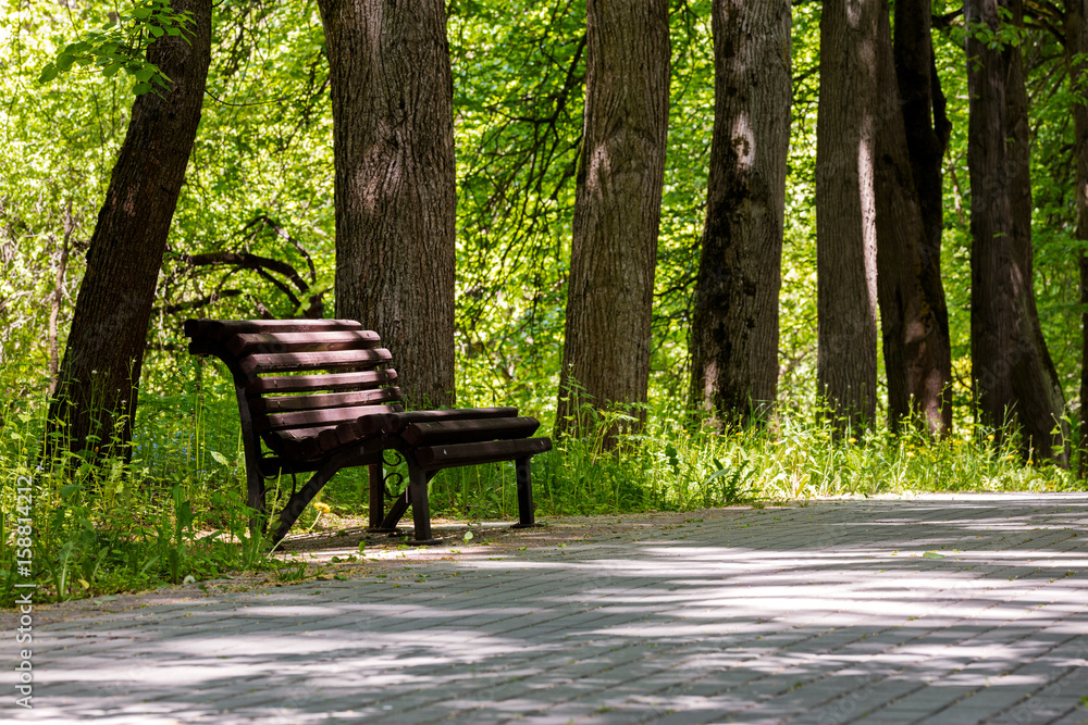 empty wooden park bench in the shade under old trees. stone footpath. spring in the park. empty wooden park bench in the shade under old trees. stone footpath. spring in the park.