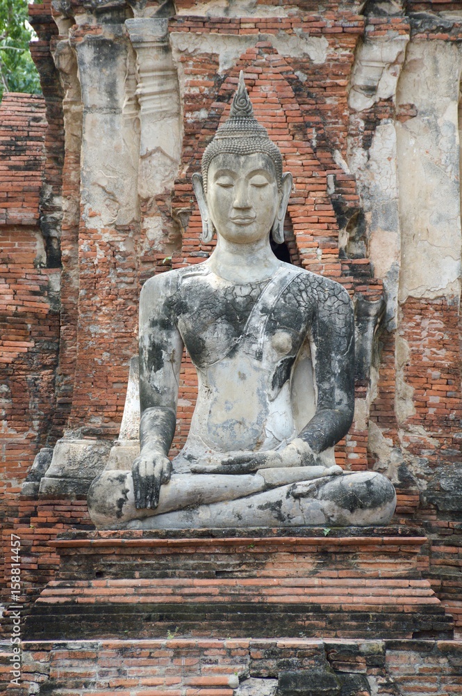 Fototapeta premium buddha statue in Ayutthaya temple at Thailand