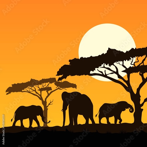 elephants silhouettes © adamsyukur