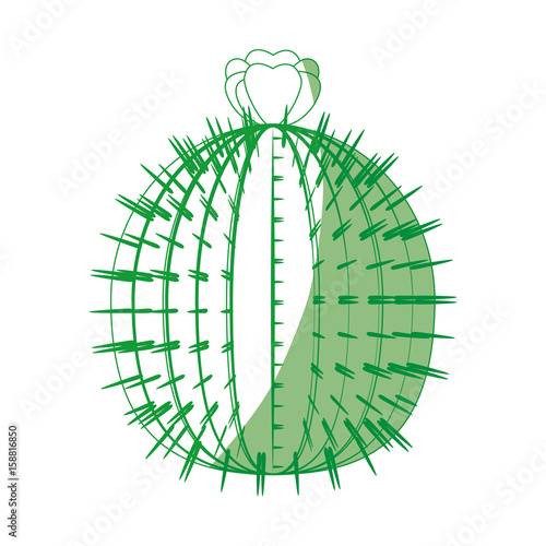 Cactus desert plant icon vector illustration graphic design