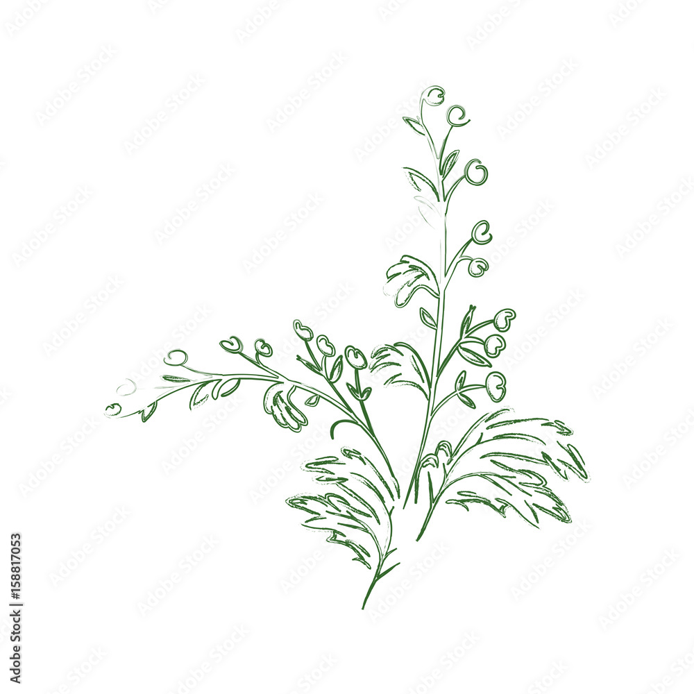 Fototapeta premium Beautiful ornamental flowers icon vector illustration graphic design
