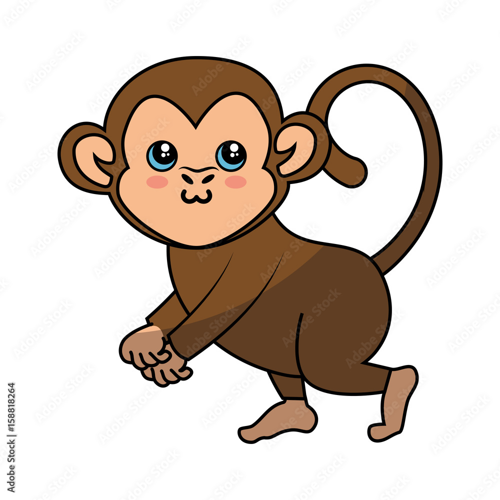 Monkey kawaii cartoon icon vector illustration graphic design Monkey kawaii cartoon icon vector illustration graphic design
