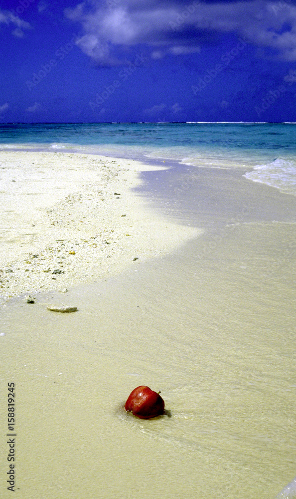 Obraz premium 海とリンゴ