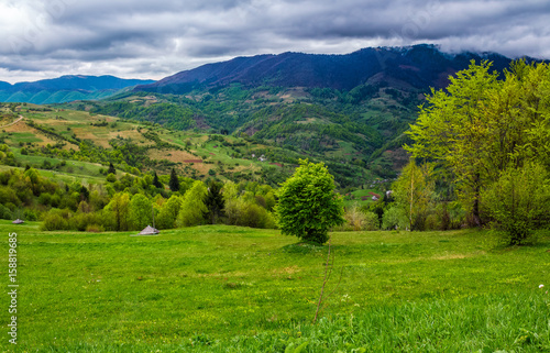 rural area in Carpathian valley