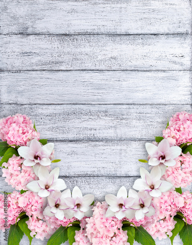 Fototapeta Naklejka Na Ścianę i Meble -  Magnolia flowers with hortensia and place for your text
