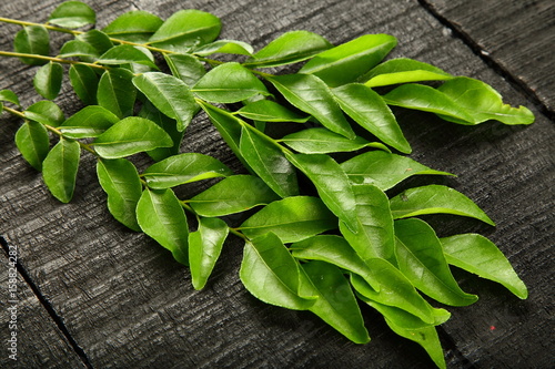 Organic Tropical curry leaves