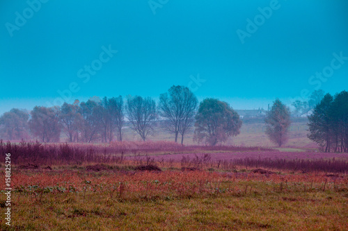 Rural landscape in the misty morning. Arable field