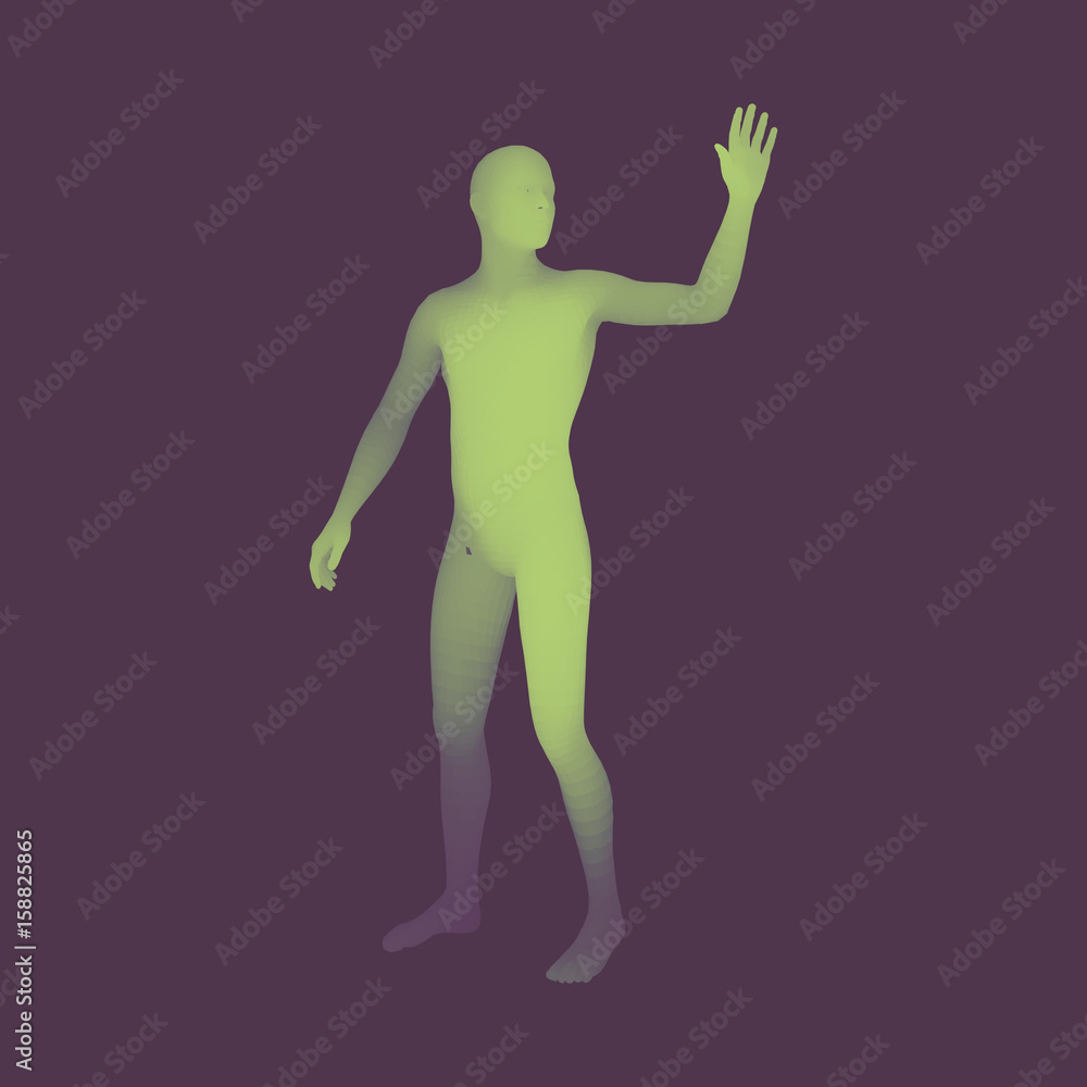 Man presenting something. 3D Human Body Model. Design Element. Man Stands on his Feet. Vector Illustration. Man presenting something. 3D Human Body Model. Design Element. Man Stands on his Feet. Vector Illustration.