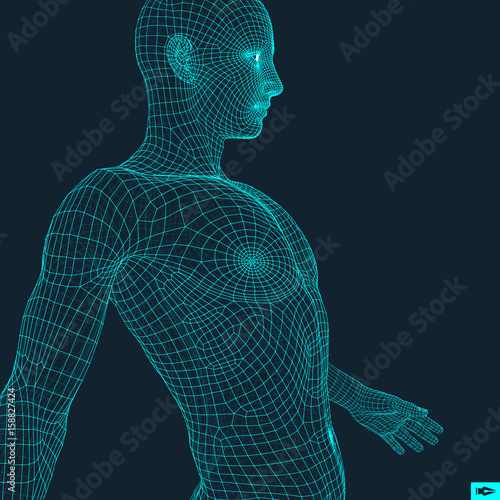 3D Model of Man. Human Body Wire Model. Design Element. Technology Vector Illustration.