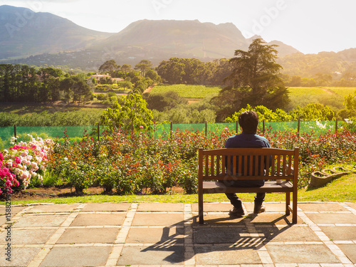 Lonely man sitting on the old wood chair in the rose garden see view mountain with clouds background in Chart Farm, Cape Town, South Africa