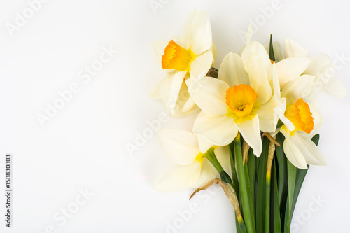 Valokuvatapetti Spring flowers of daffodils on white background