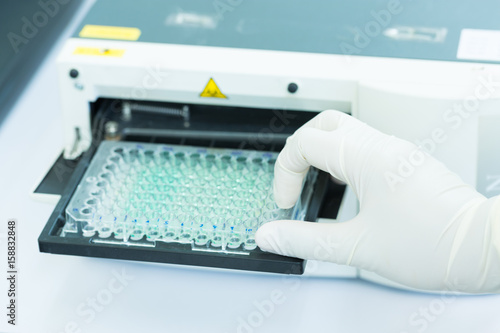 Scientist is putting ELISA plate to measure OD with micro plate reader  photo