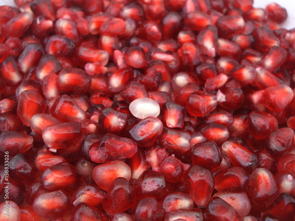 fruit fruit