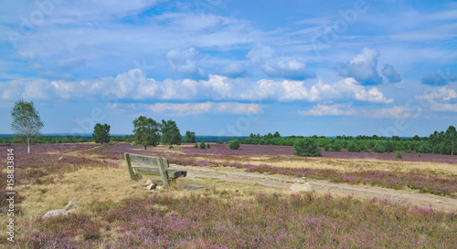 Rastplatz in der L  neburger Heide Niedersachsen Deutschland