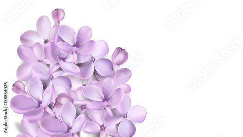 Pastel background with lilac flowers.