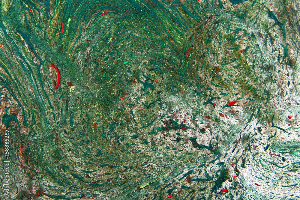 colorful abstract texture of paint colorful abstract texture of paint