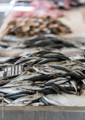 Fresh fish catch on sale at local fish market