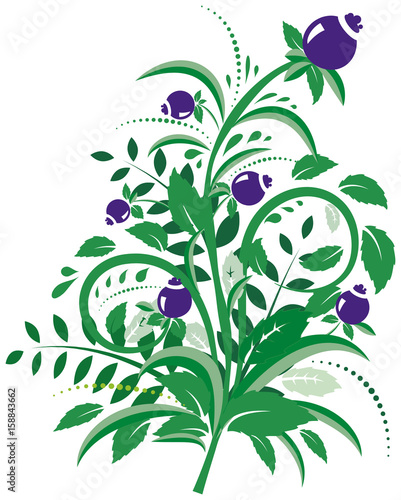 decorative pattern is a bouquet composed of plant elements